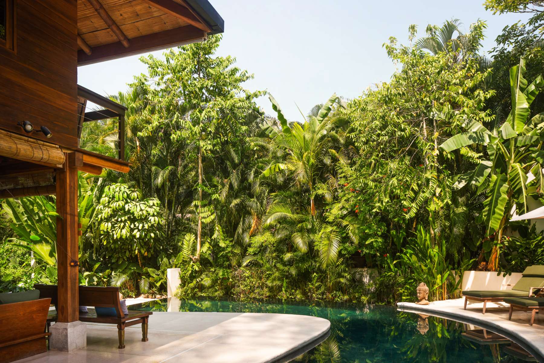 Pool and jungle view from the villa terrace