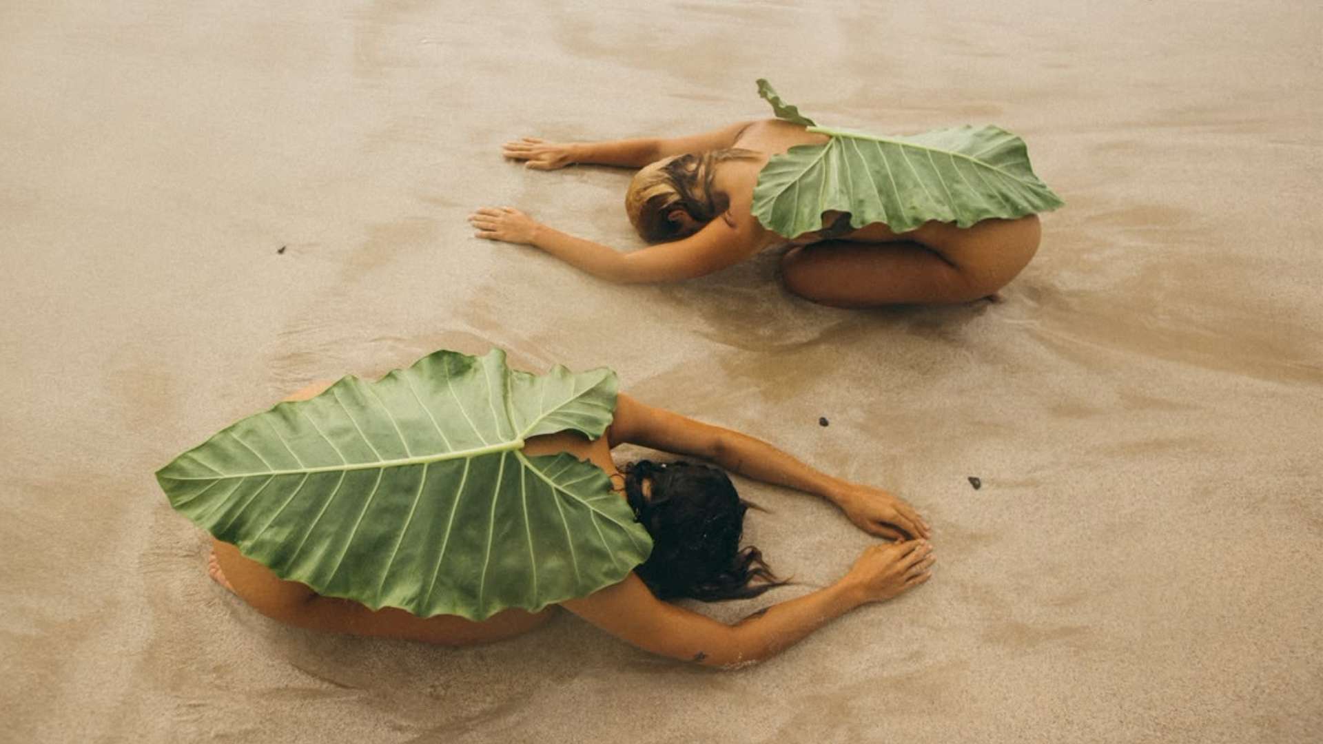 Two women resting on the sand beneath large green leaves